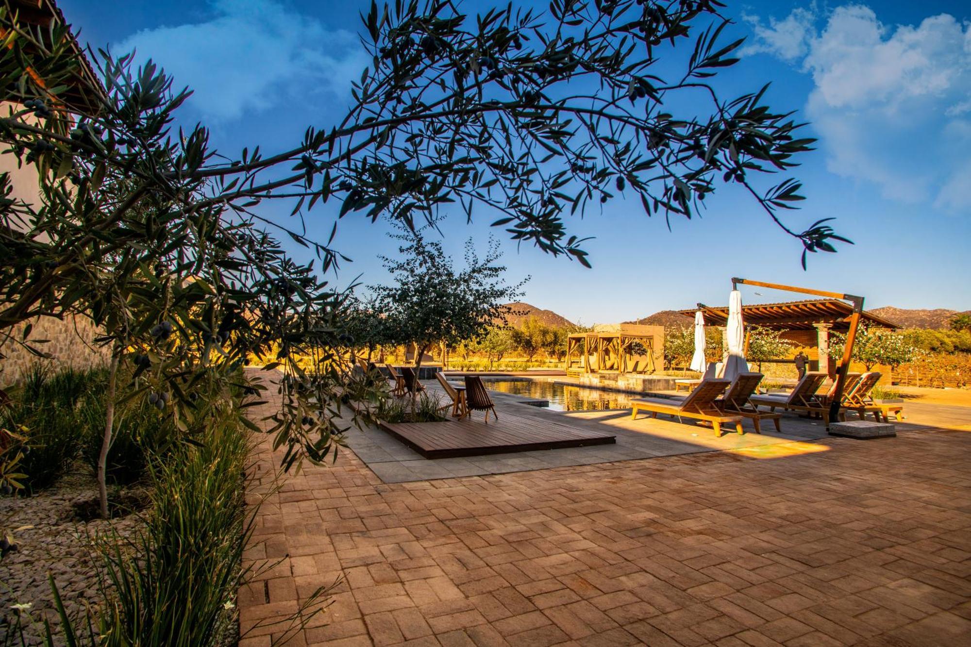 Hotel Flores De Sal-Valle De Guadalupe Eksteriør bilde