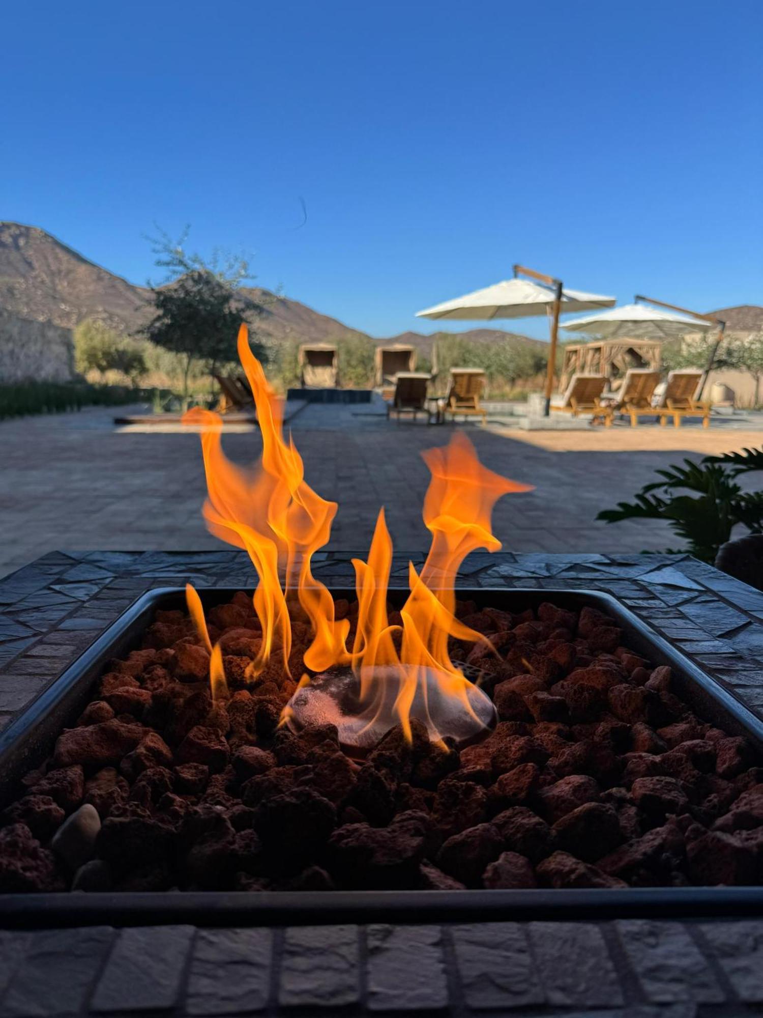 Hotel Flores De Sal-Valle De Guadalupe Eksteriør bilde